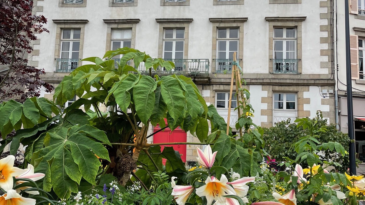 Photo of Outdoor in Morlaix