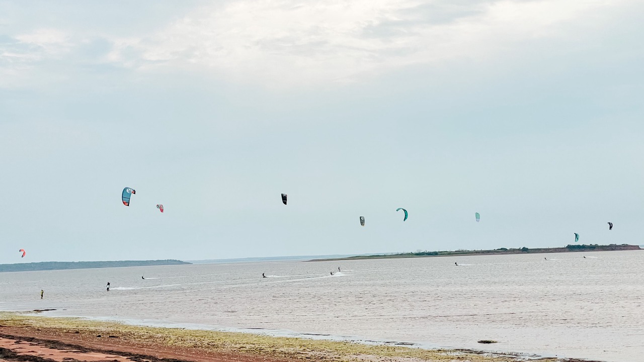 Photo of Others in Malpeque
