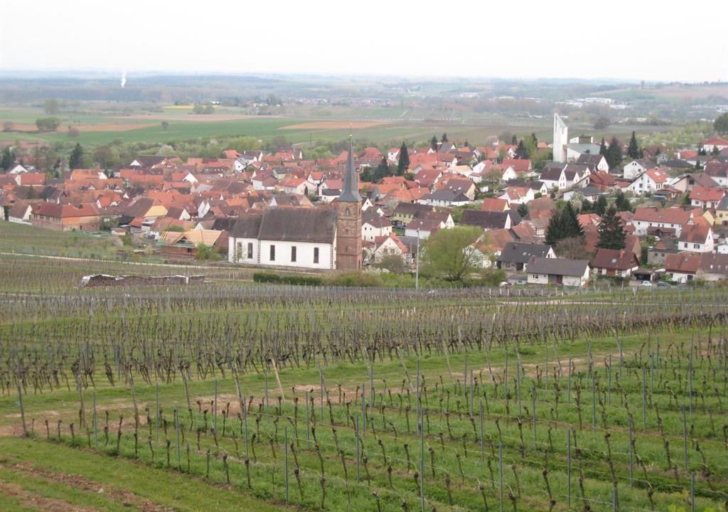 Photo of Others in Schweigen-Rechtenbach