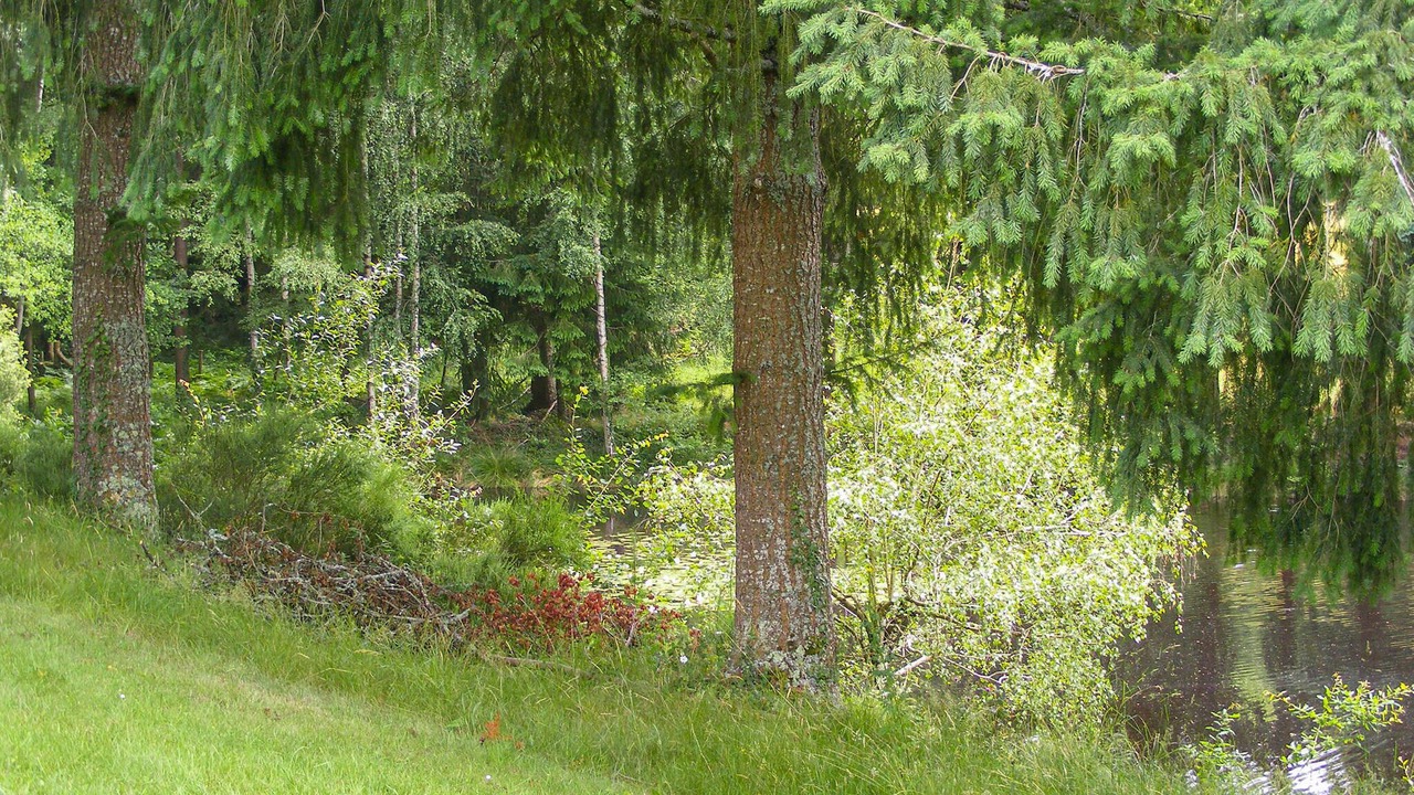 Photo of Others in Saint-Hilaire-les-Places