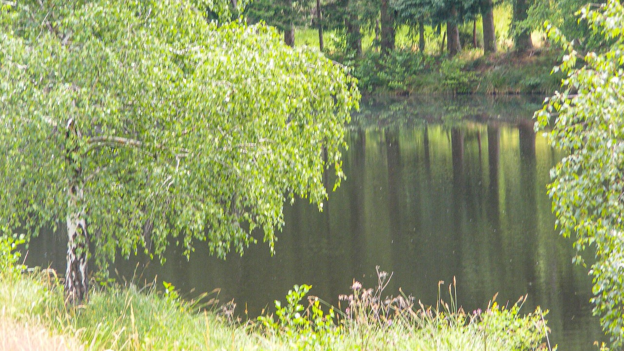 Photo of Others in Saint-Hilaire-les-Places
