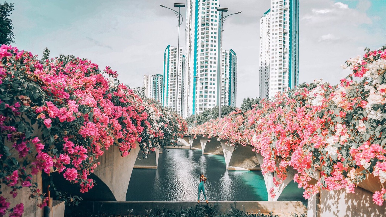 Photo of Outdoor in Van Giang
