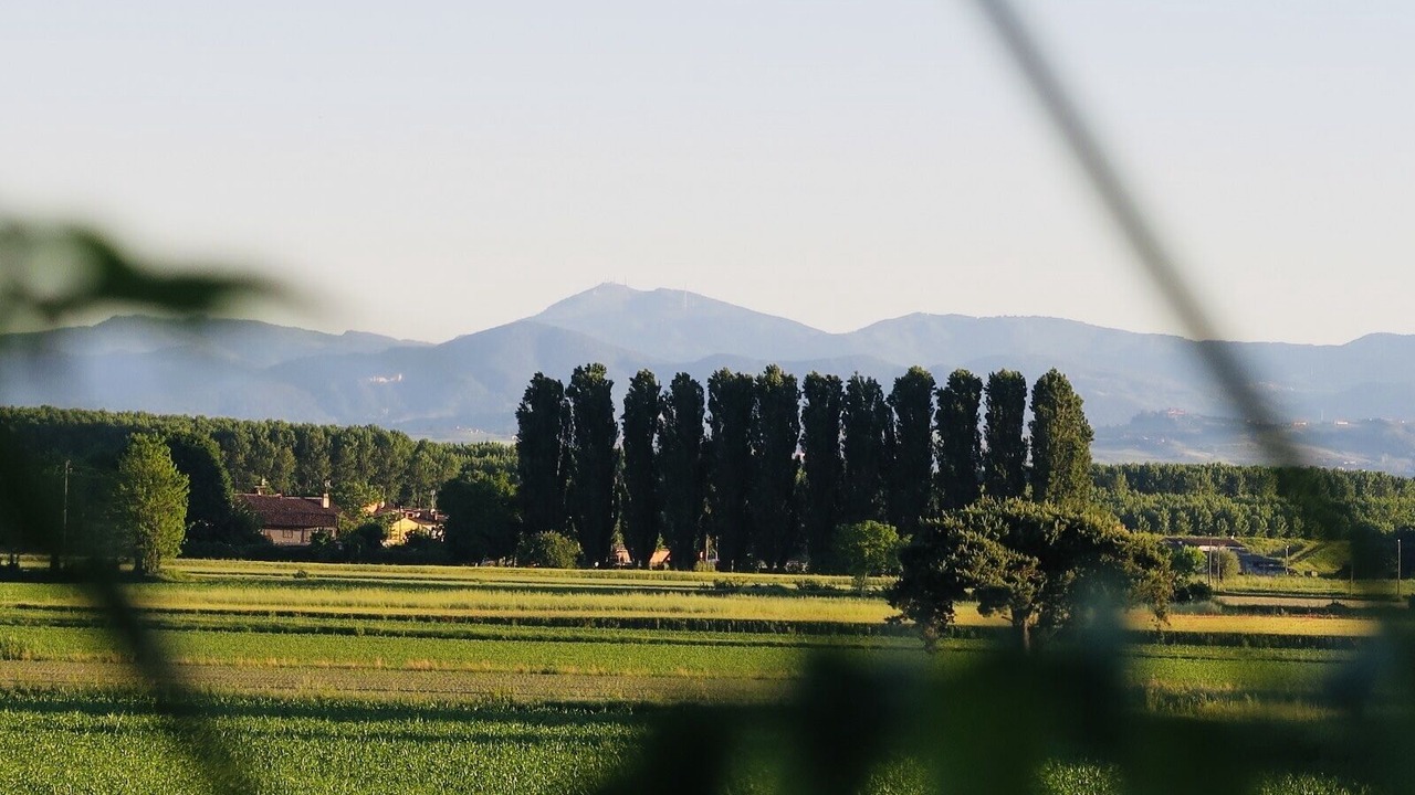 Photo of Others in Monticelli Pavese