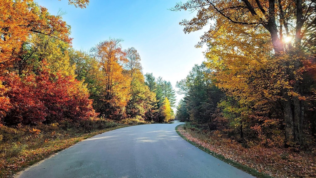 Photo of Outdoor in Athelstane