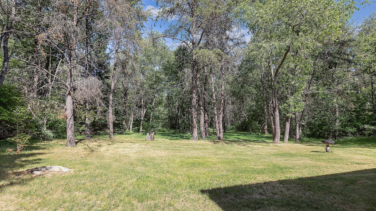 Photo of Outdoor in Athelstane