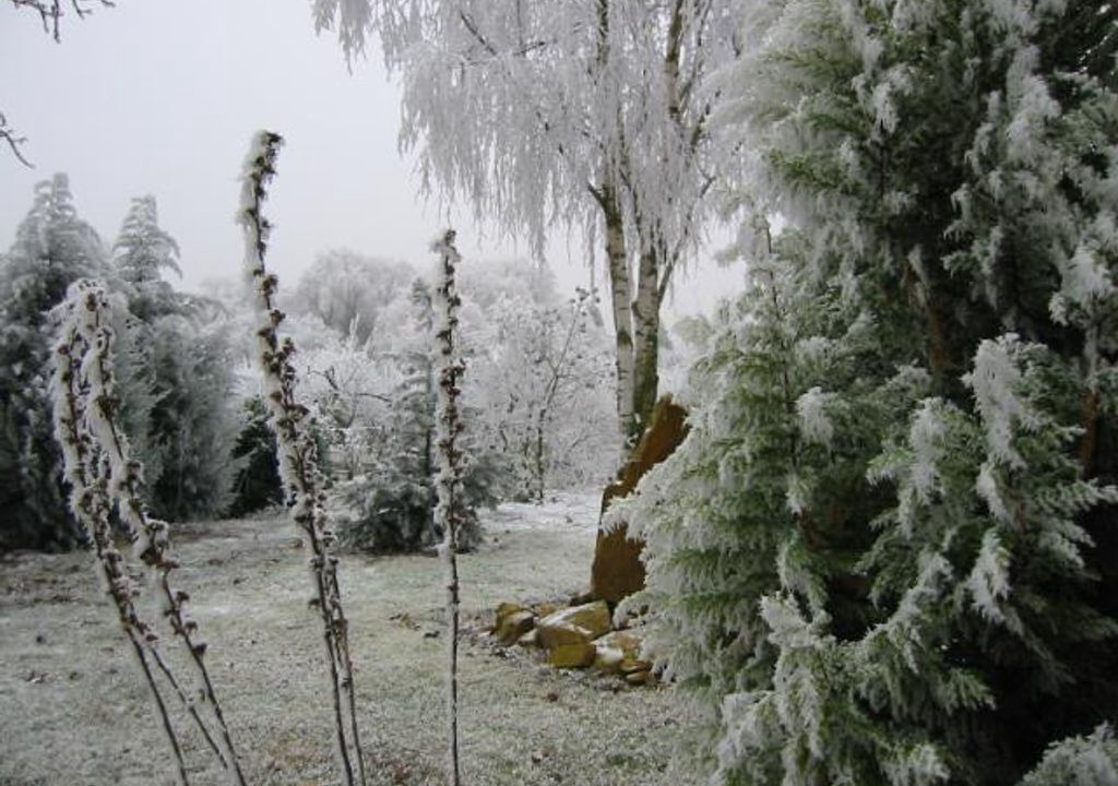 Photo of Outdoor in Schweigen-Rechtenbach