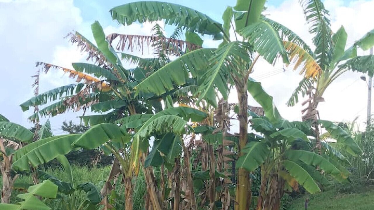 Photo of Others in Cienaga Alta