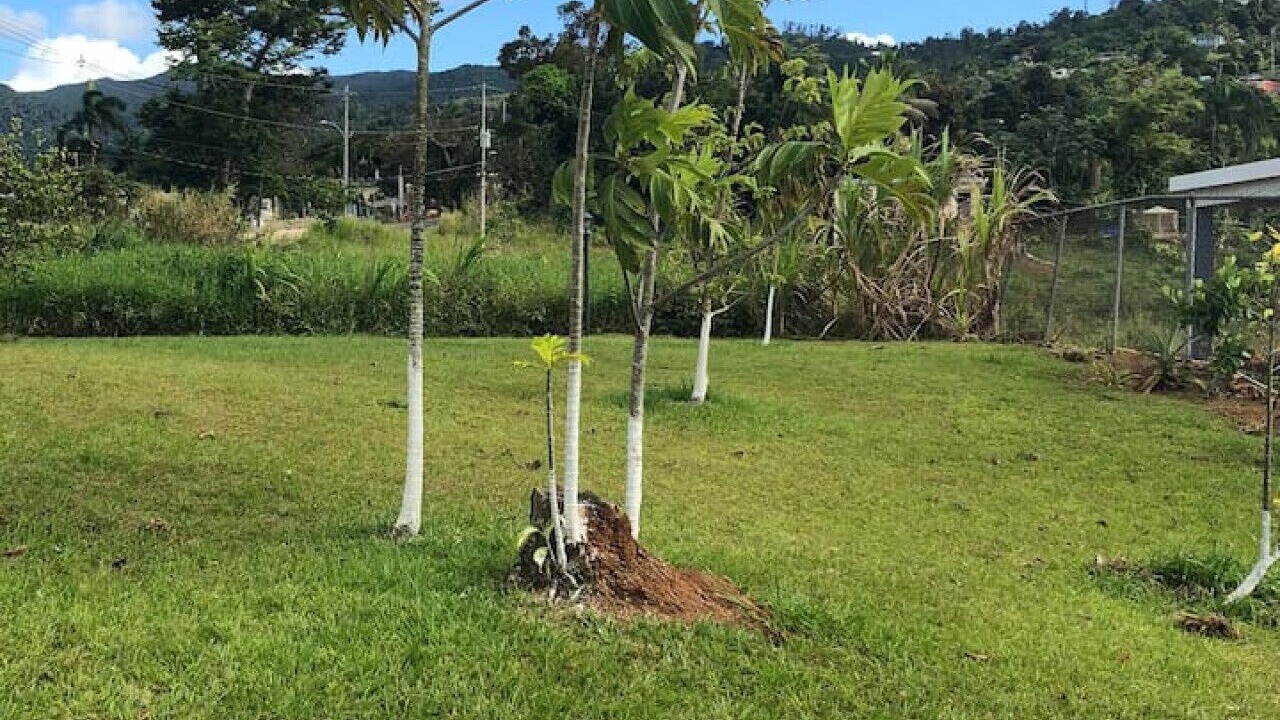 Photo of Others in Cienaga Alta
