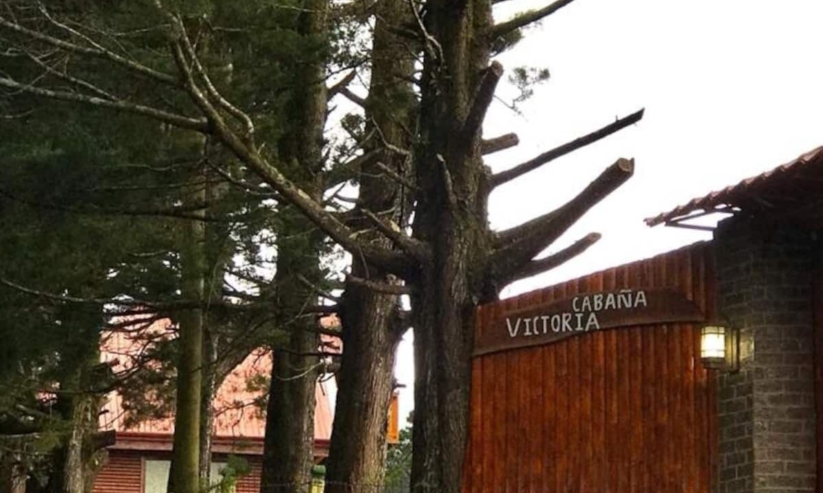 Photo of Outdoor in Poas Volcano National Park