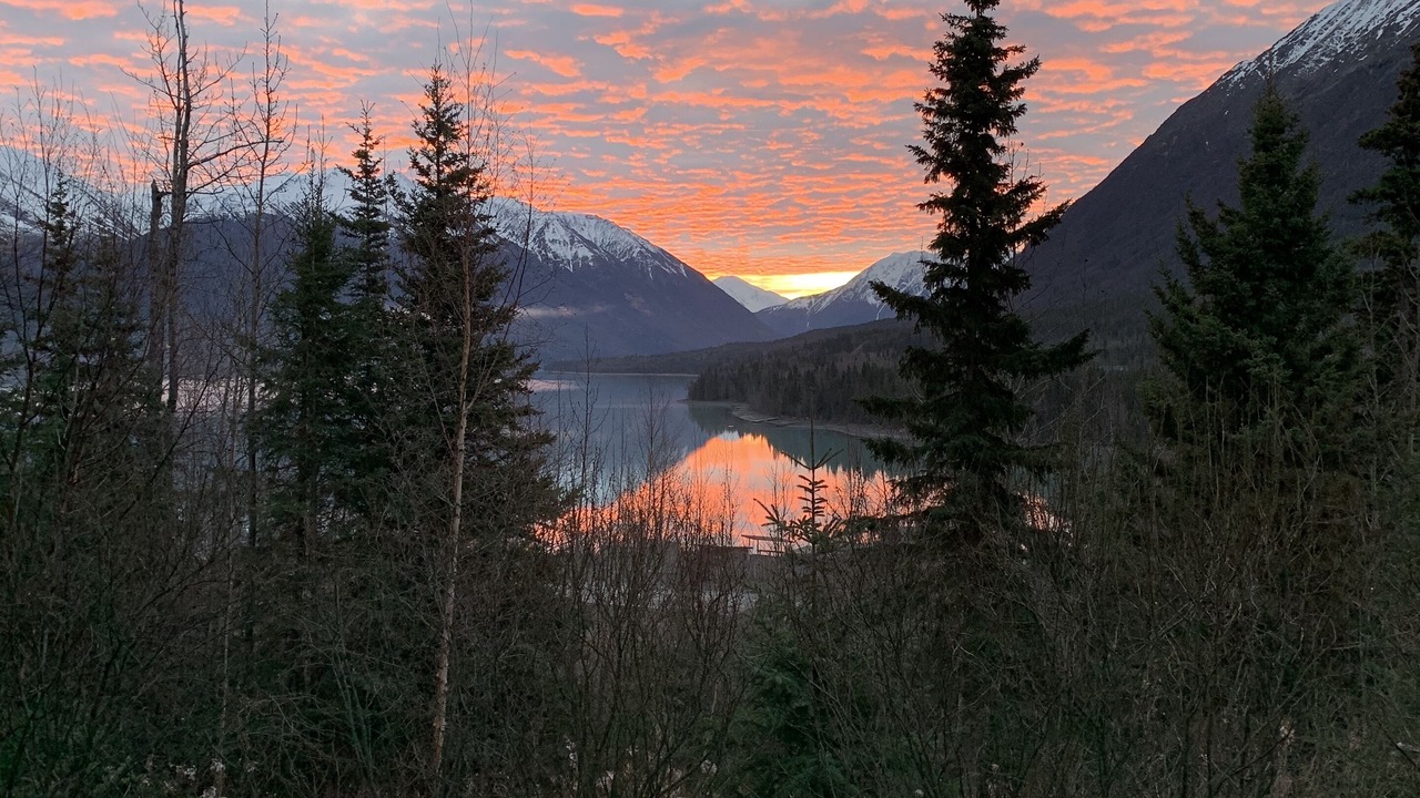 Photo of Outdoor in Cooper Landing