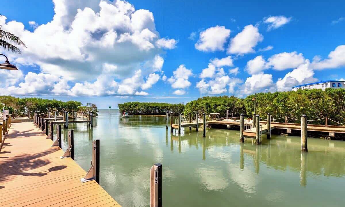 Photo of Others in Tavernier