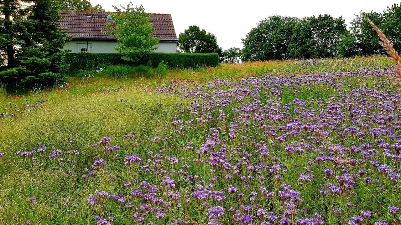 Photo of Outdoor in Oberhavel