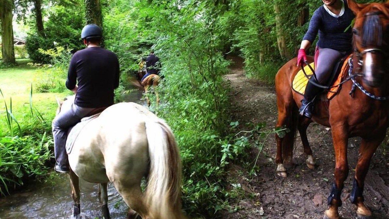 Photo of Others in Forges-les-Eaux