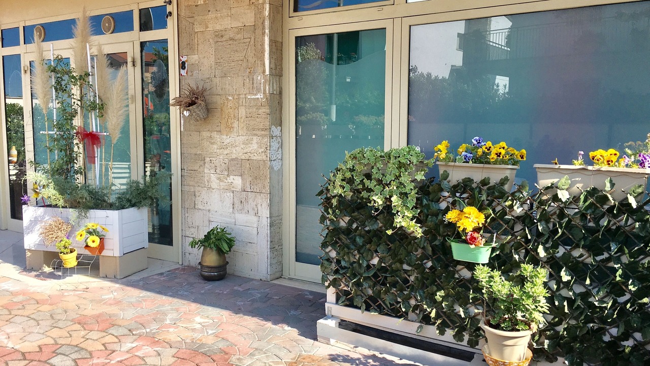 Photo of Outdoor in Pisa