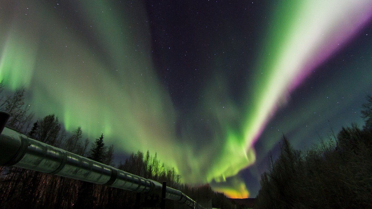 Photo of Others in Midtown Anchorage