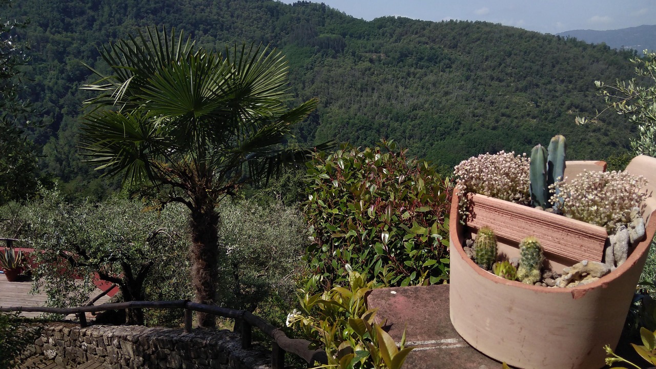 Photo of Outdoor in Benabbio
