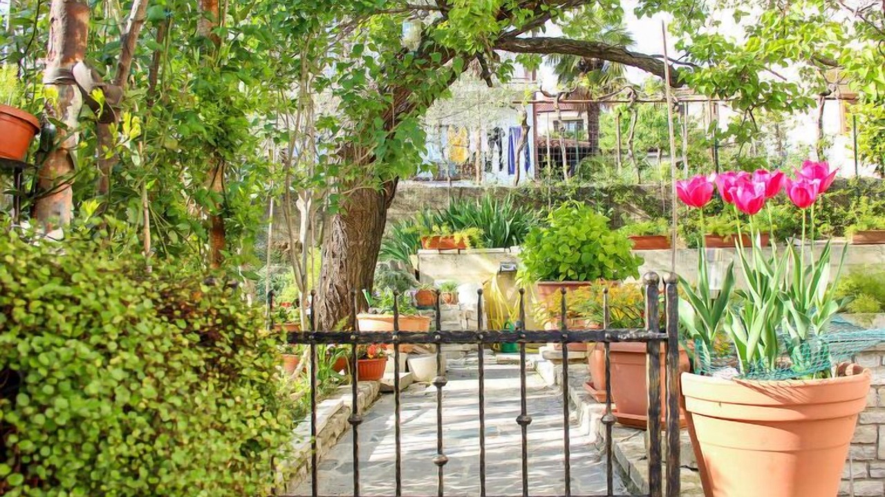 Photo of Outdoor in Piran