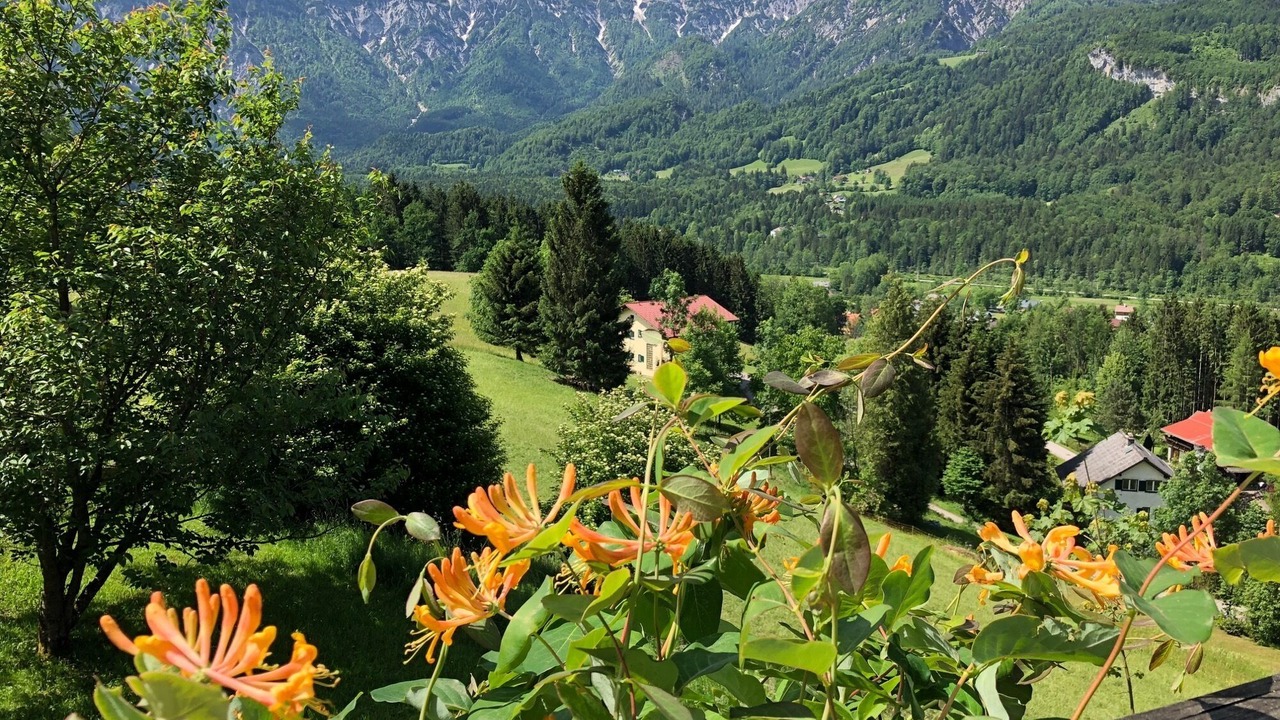 Photo of Outdoor in Bad Goisern