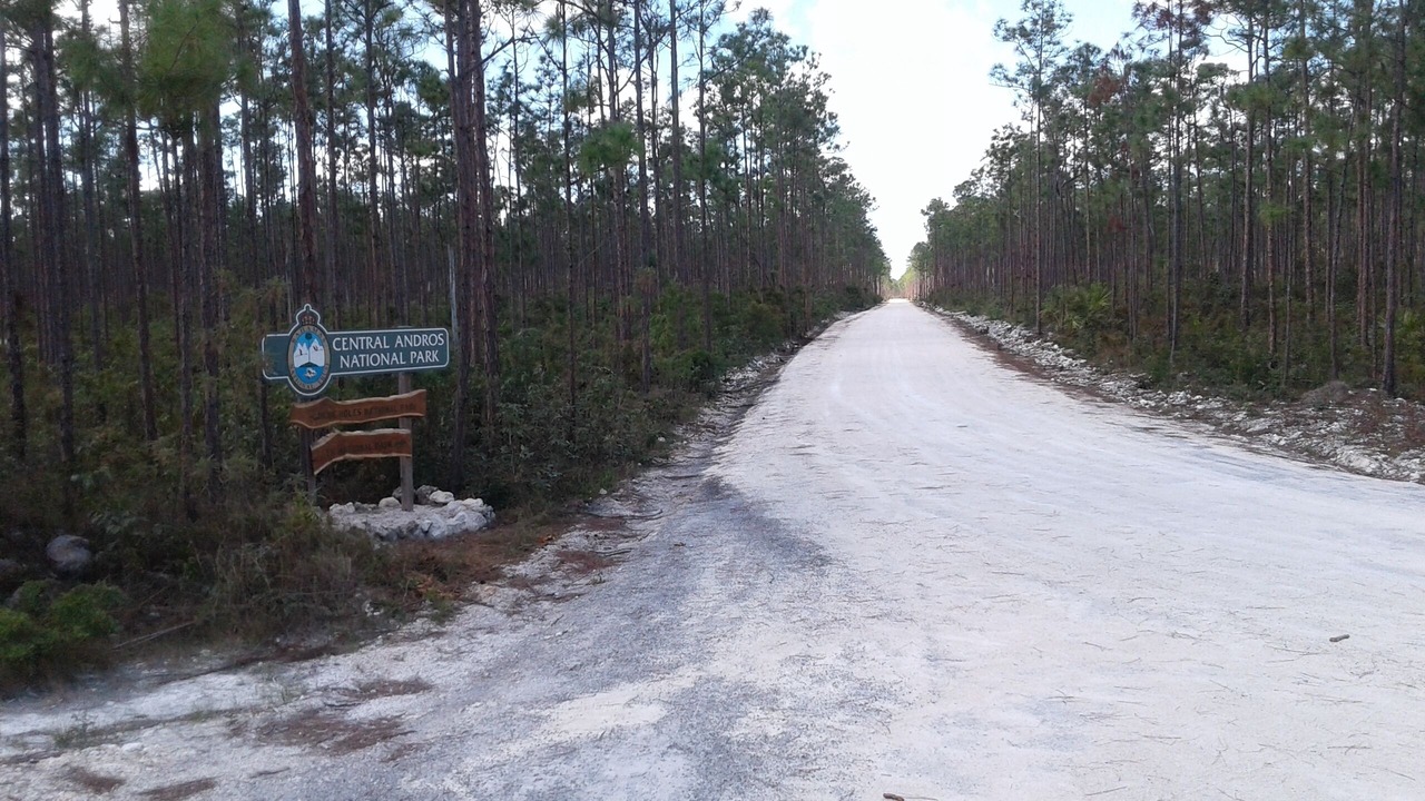 Photo of Outdoor in Andros Town