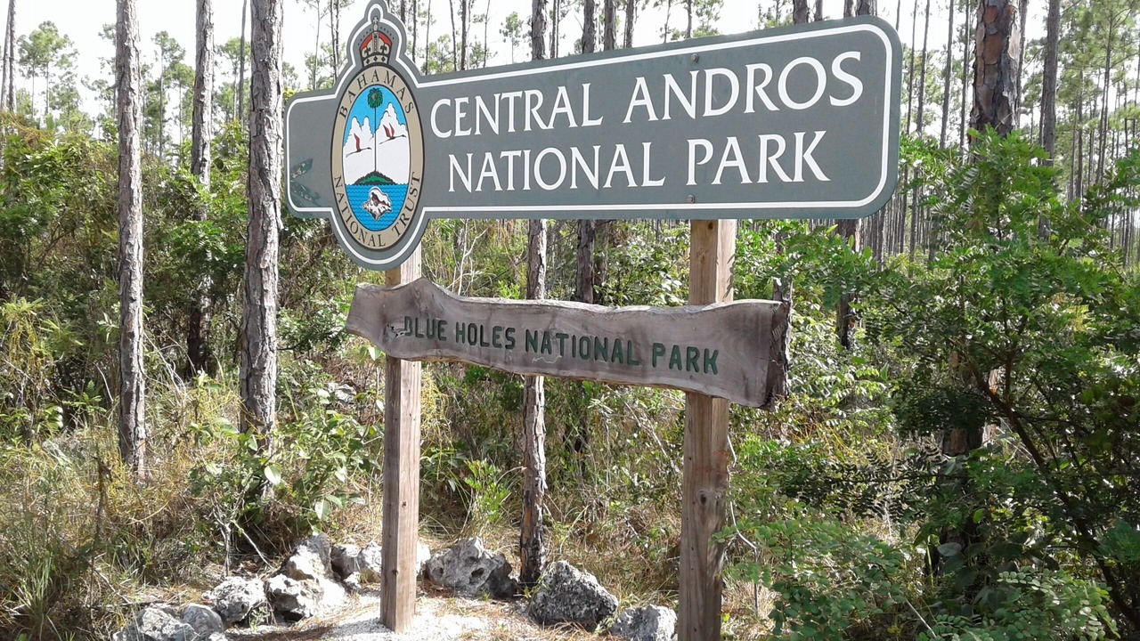 Photo of Outdoor in Andros Town