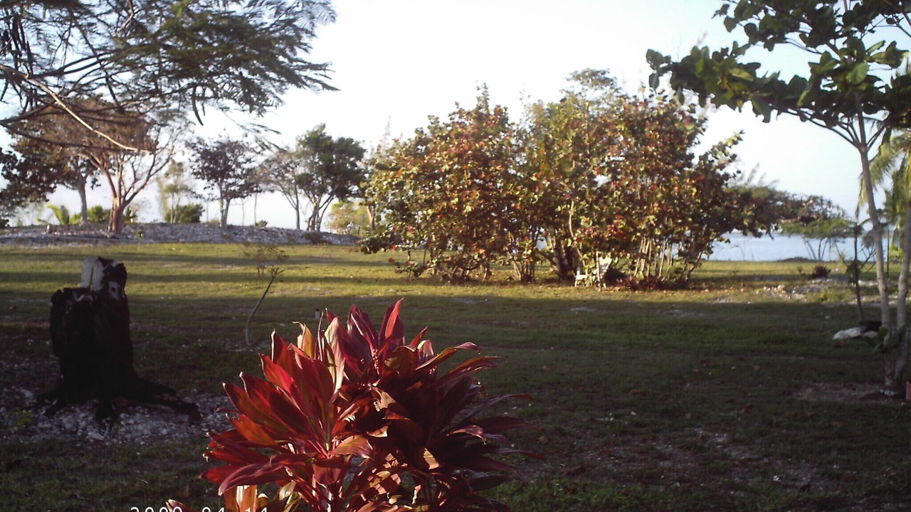 Photo of Others in Andros Town