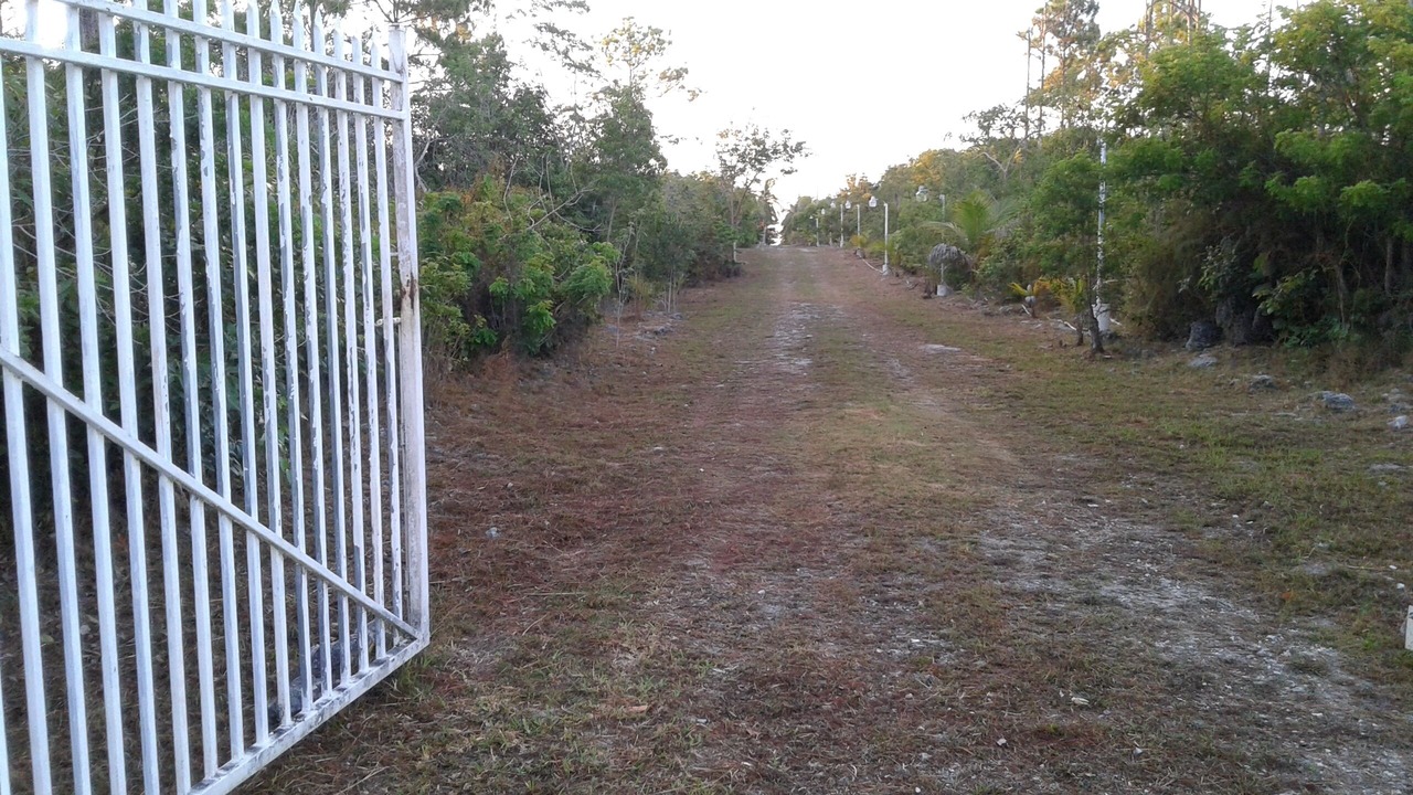 Photo of Outdoor in Andros Town