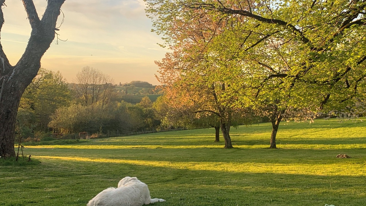 Photo of Outdoor in Glanges