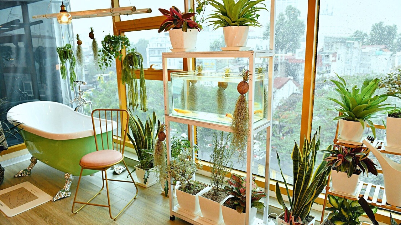 Photo of Others in Van Mieu