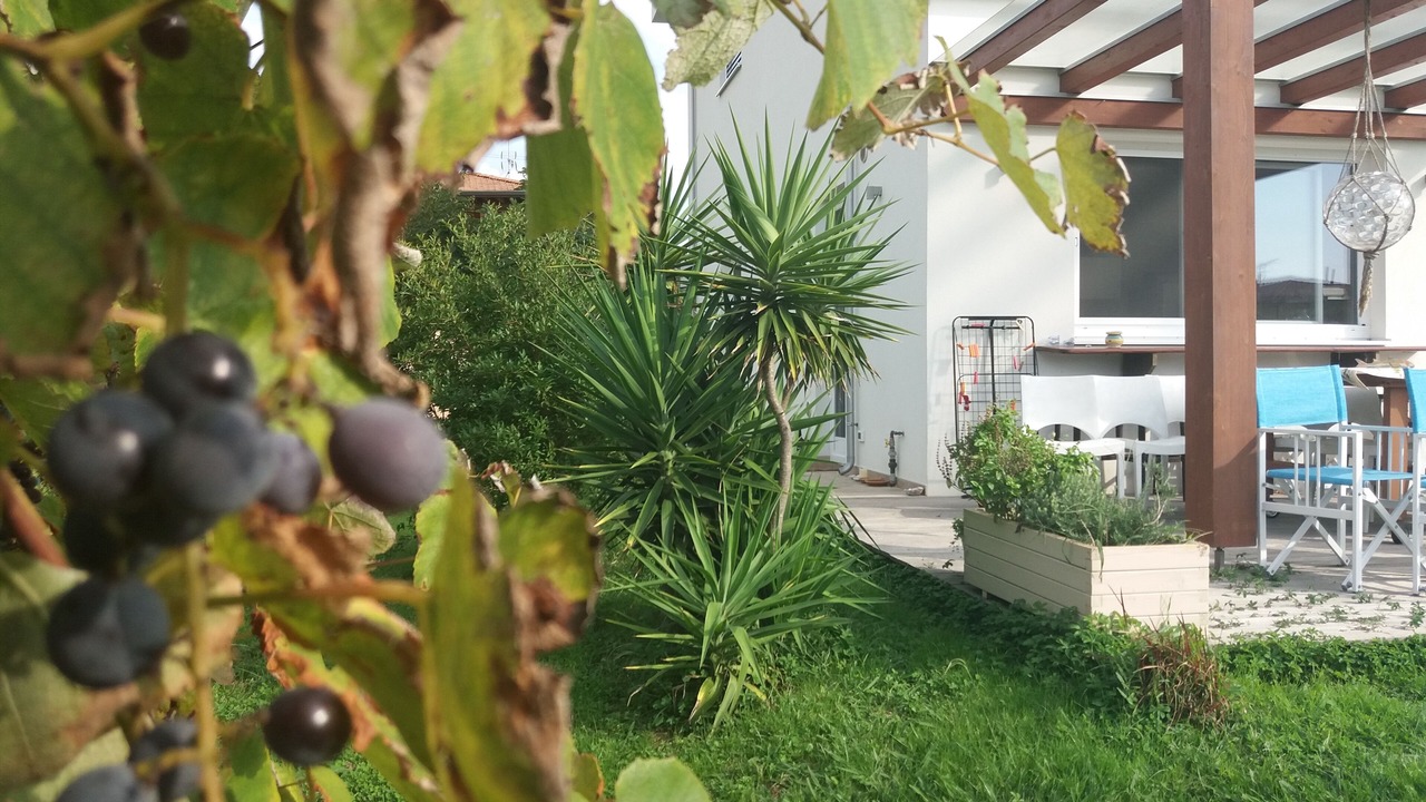 Photo of Patio Balcony in Pontasserchio
