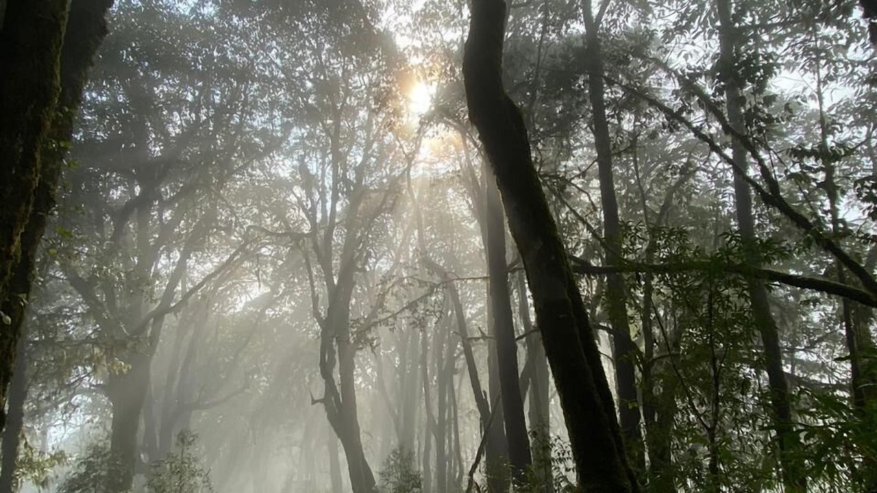 Photo of Outdoor in Turuk