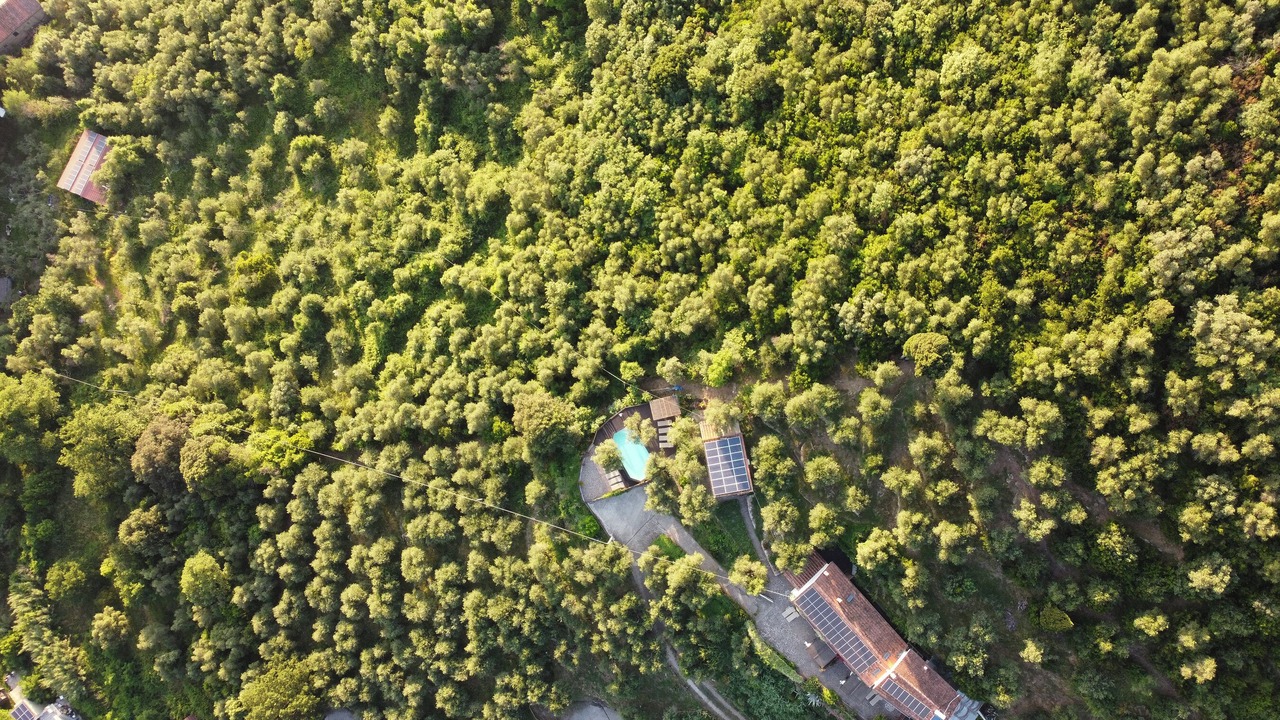 Photo of Outdoor in Vicopelago