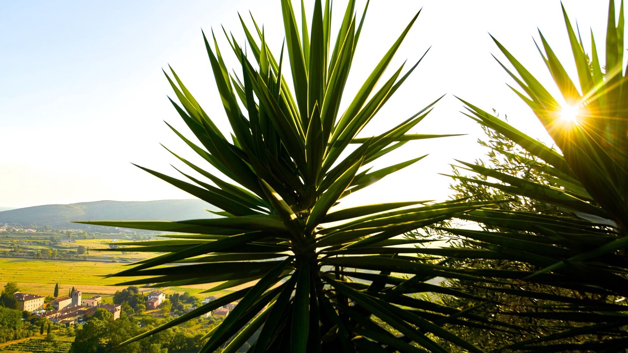 Photo of Outdoor in Vicopelago