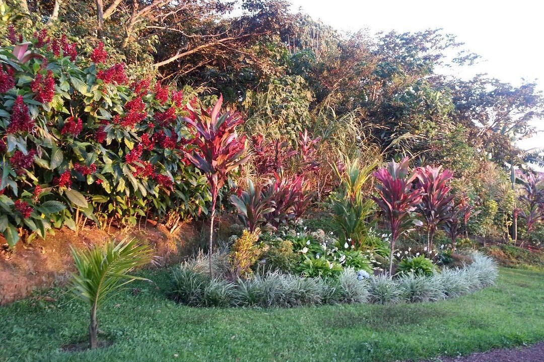 Photo of Outdoor in Bolivar