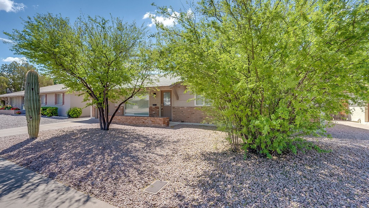 Photo of Outdoor in Cox Heights