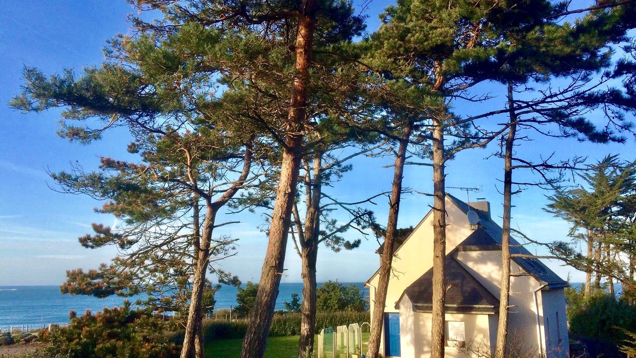 Photo of Outdoor in Sables-d'Or-les-Pins