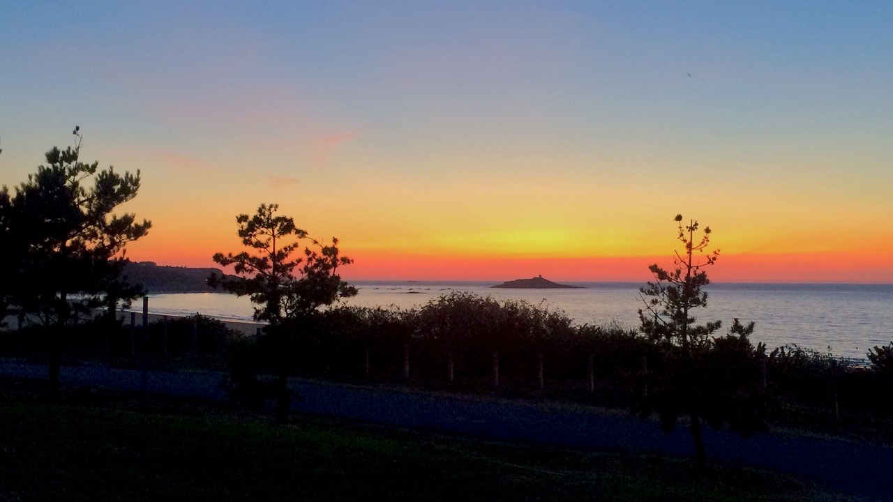 Photo of Outdoor in Sables-d'Or-les-Pins