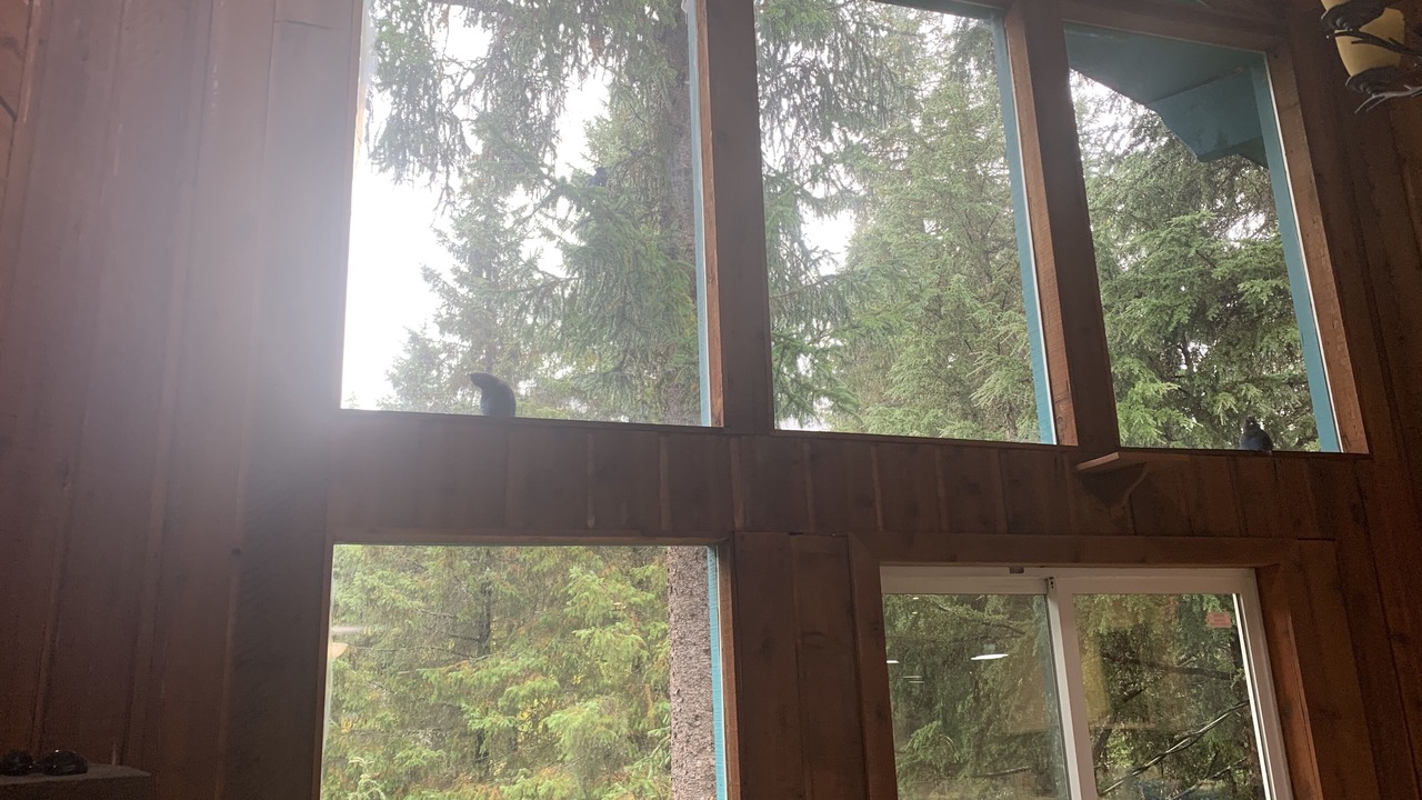 Photo of Others in Alyeska