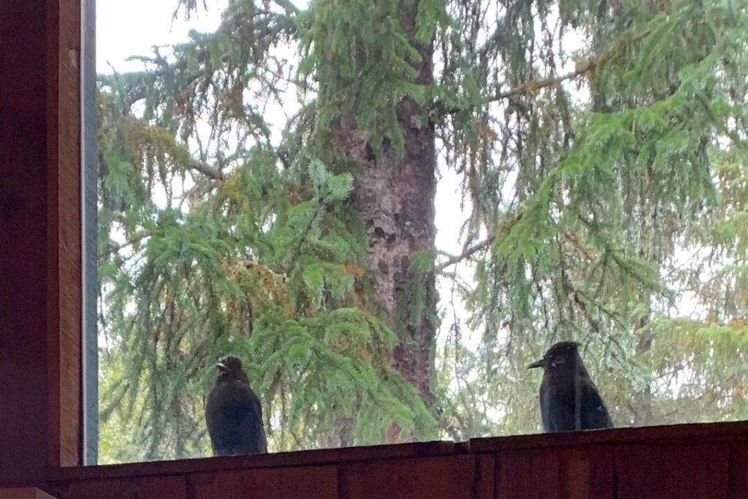 Photo of Others in Alyeska