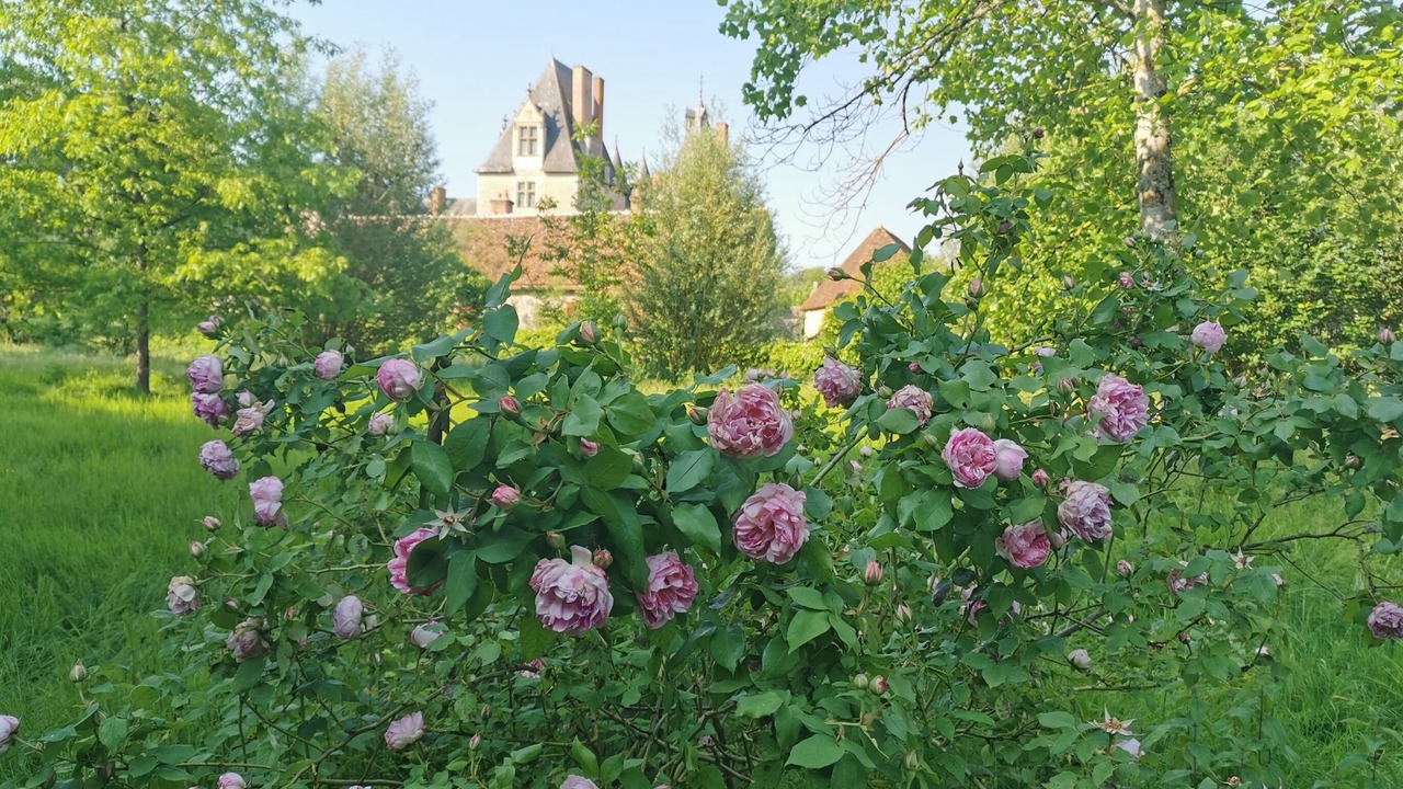 Photo of Outdoor in Fougeres-sur-Bievre