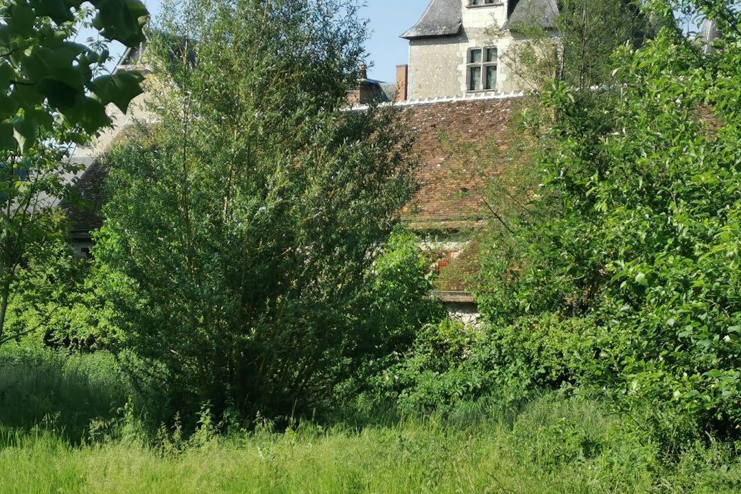 Photo of Outdoor in Fougeres-sur-Bievre