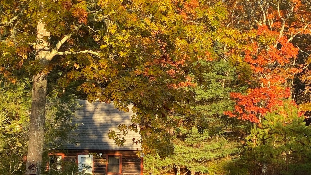 Photo of Others in Charlestown