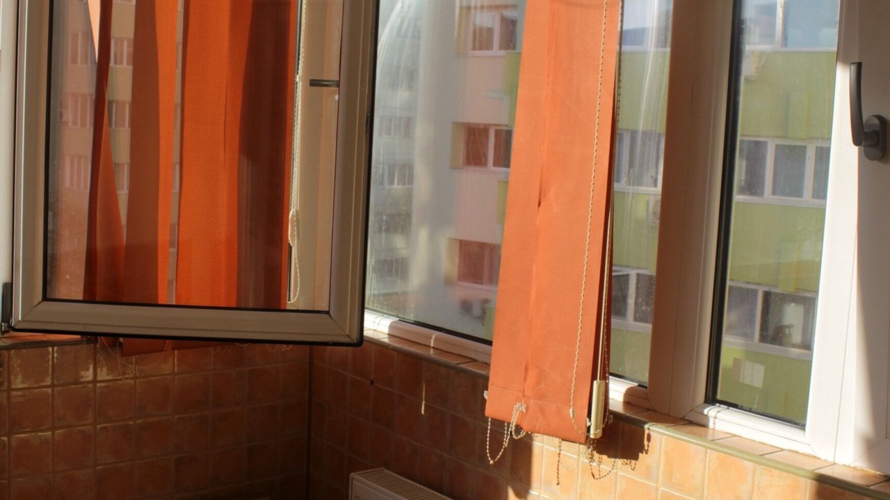 Photo of Others in Sector 2
