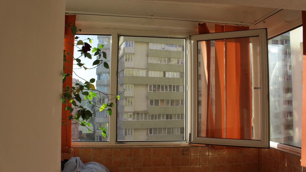 Photo of Others in Sector 2