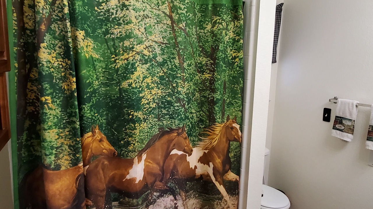 Photo of Bathroom in Westminster