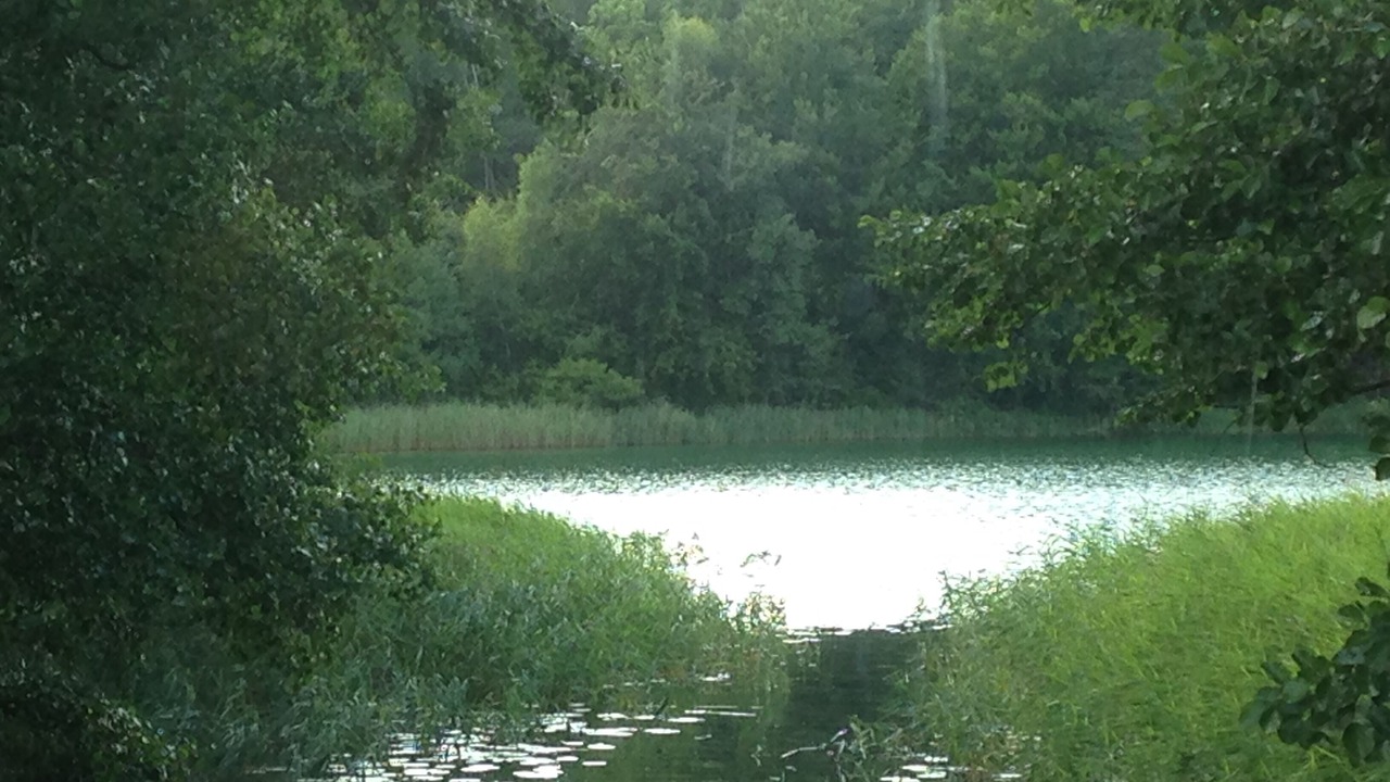 Photo of Outdoor in Densow