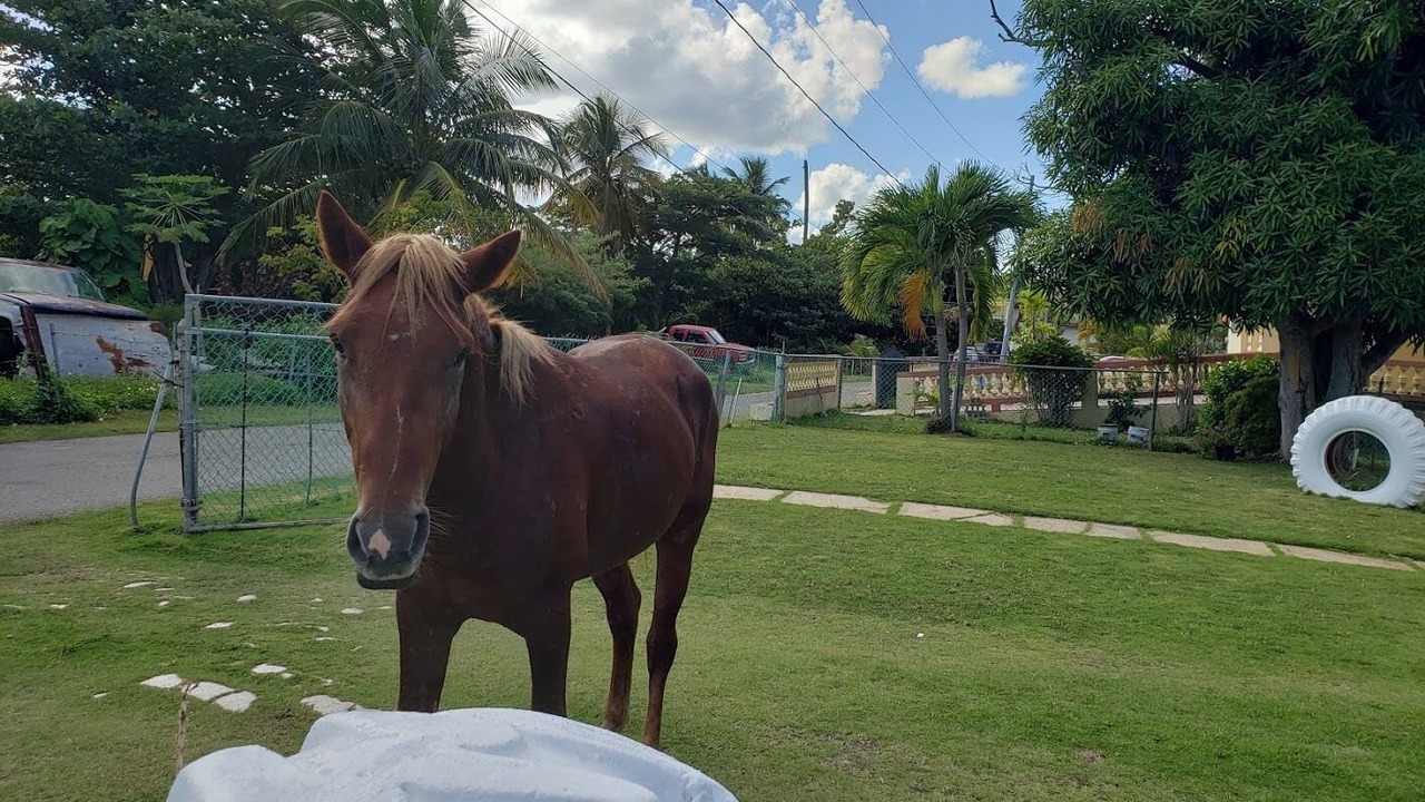 Photo of Outdoor in Esperanza