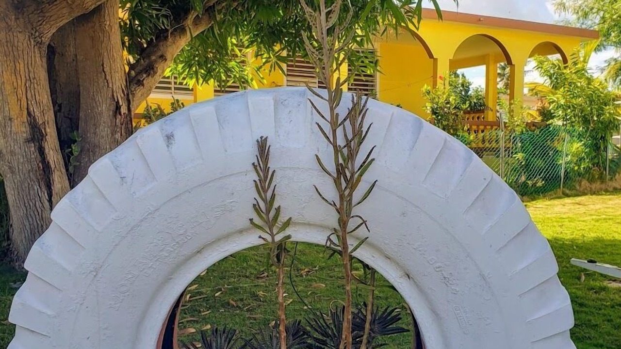 Photo of Outdoor in Esperanza