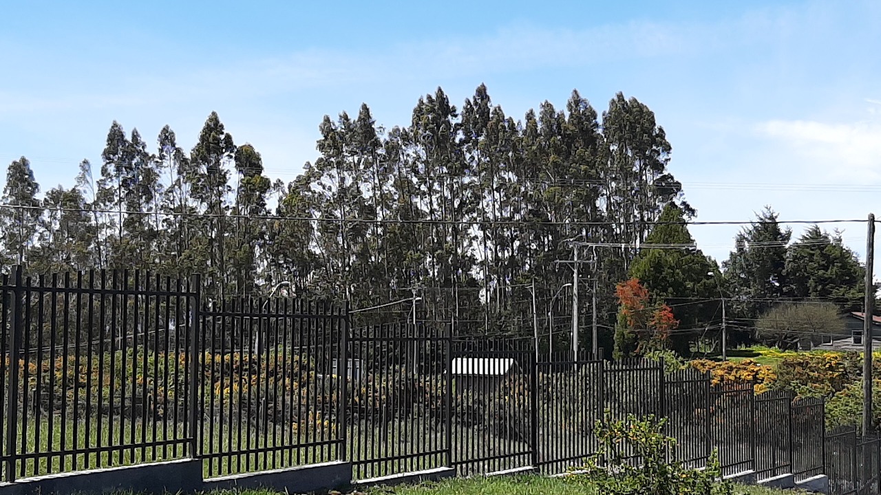 Photo of Outdoor in Puerto Varas