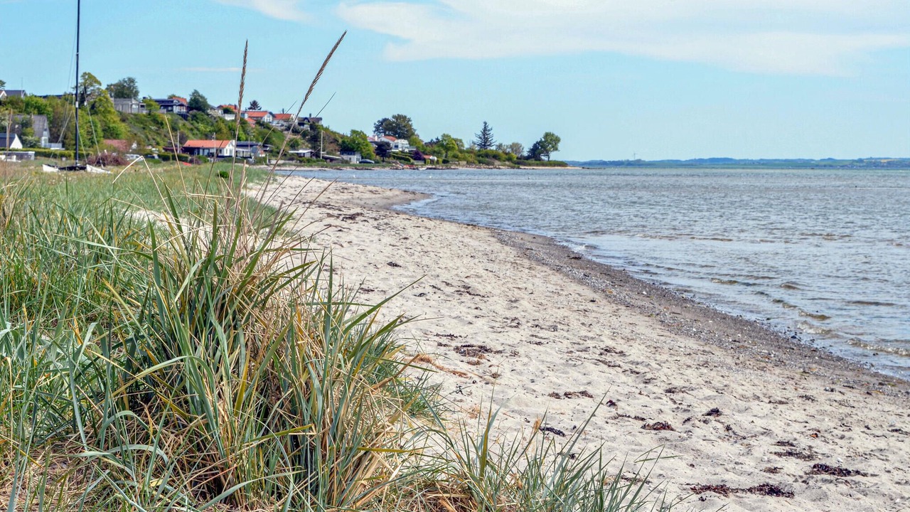Photo of Others in Skæring