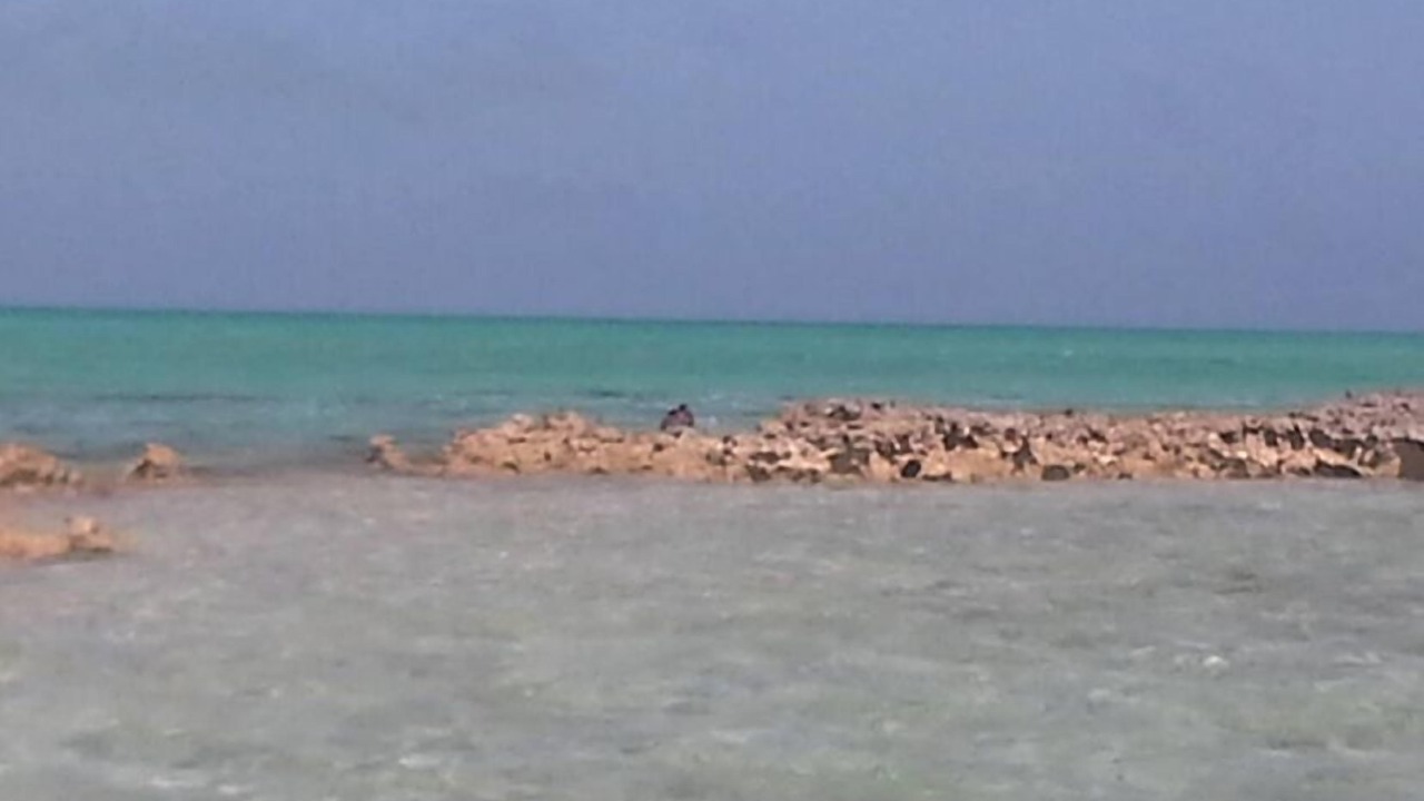 Photo of Others in Andros Island